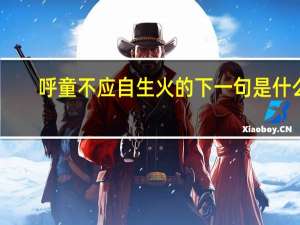 呼童不应自生火的下一句是什么