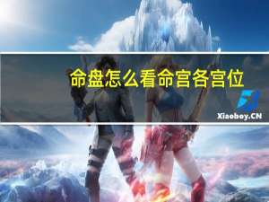 命盘怎么看命宫各宫位（命盘怎么看）