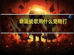 命运战歌用什么宠物打
