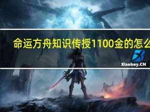 命运方舟知识传授1100金的怎么用