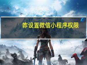 咋设置微信小程序权限