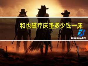和也磁疗床垫多少钱一床（和也磁疗床垫评价）