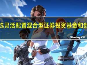 和创鑫欣优选灵活配置混合型证券投资基金和创鑫欣优选混合型c