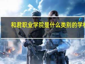 和君职业学院是什么类别的学校