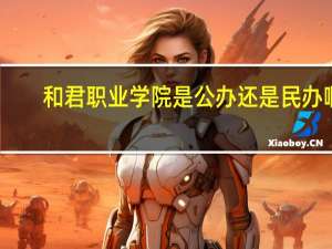 和君职业学院是公办还是民办啊