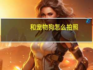 和宠物狗怎么拍照