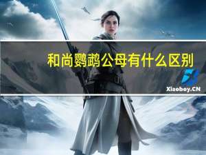 和尚鹦鹉公母有什么区别