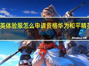 和平精英体验服怎么申请资格华为 和平精英体验服申请
