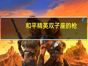 和平精英双子座的枪