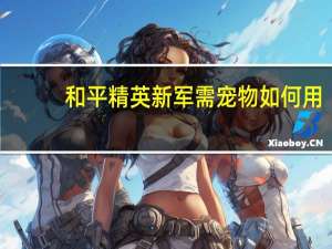 和平精英新军需宠物如何用