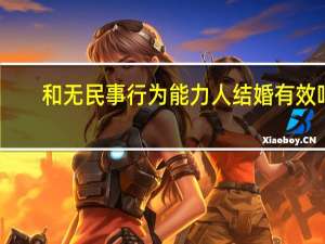 和无民事行为能力人结婚有效吗