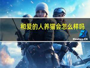 和爱的人养猫会怎么样吗