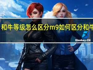 和牛等级怎么区分m9 如何区分和牛等级