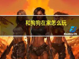 和狗狗在家怎么玩