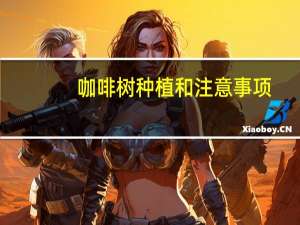 咖啡树种植和注意事项