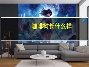 咖啡树长什么样