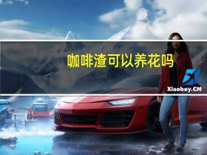 咖啡渣可以养花吗