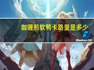 咖喱煎软鸭卡路里是多少