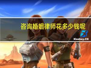 咨询婚姻律师花多少钱呢