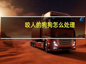 咬人的狗狗怎么处理