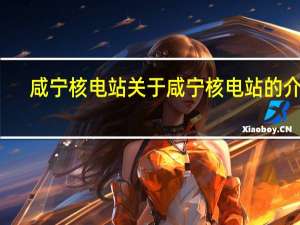 咸宁核电站 关于咸宁核电站的介绍