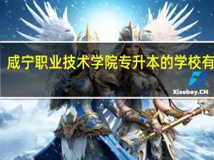 咸宁职业技术学院专升本的学校有哪些