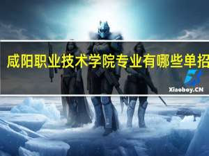 咸阳职业技术学院专业有哪些单招专业（咸阳职业技术学院专业）