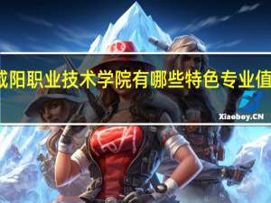 咸阳职业技术学院有哪些特色专业值得推荐