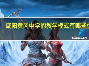 咸阳黄冈中学的教学模式有哪些优势