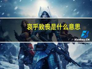 哀乎致丧是什么意思
