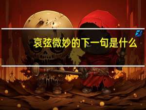 哀弦微妙的下一句是什么