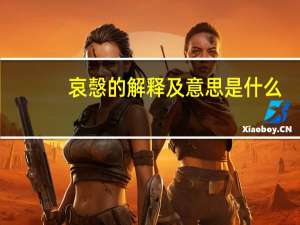 哀愨的解释及意思是什么