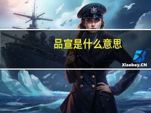 品宣是什么意思