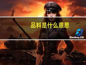 品料是什么意思