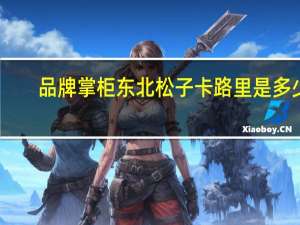 品牌掌柜 东北松子卡路里是多少
