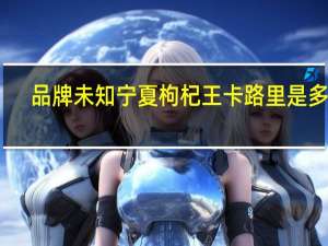 品牌未知 宁夏枸杞王卡路里是多少