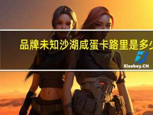 品牌未知 沙湖咸蛋卡路里是多少