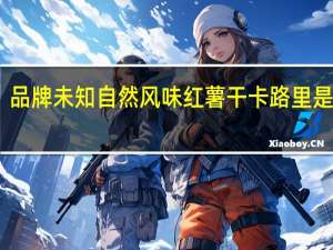 品牌未知 自然风味红薯干卡路里是多少