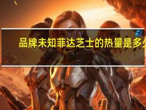 品牌未知 菲达芝士的热量是多少