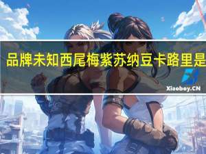 品牌未知 西尾梅紫苏纳豆卡路里是多少