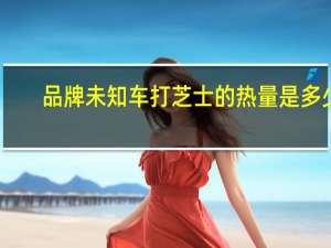 品牌未知 车打芝士的热量是多少