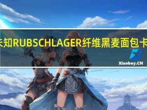 品牌未知 RUBSCHLAGER纤维黑麦面包卡路里是多少