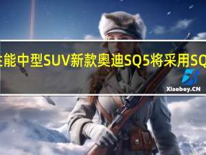 品牌的高性能中型SUV新款奥迪SQ5将采用SQ7采用的TDI动力