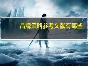 品牌策略参考文献有哪些（品牌策略）