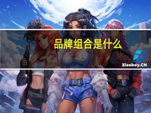 品牌组合是什么