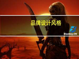 品牌设计风格（关于品牌设计风格的介绍）