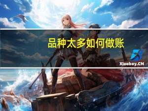 品种太多如何做账