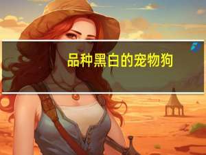 品种黑白的宠物狗