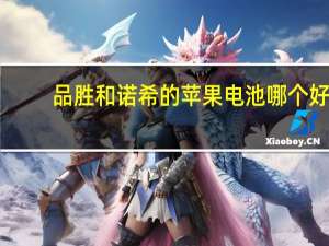 品胜和诺希的苹果电池哪个好（诺希和品胜哪个好）