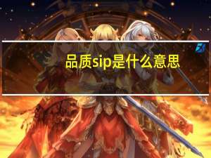 品质sip是什么意思